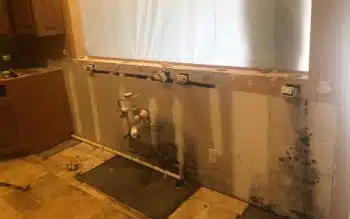 Mold Remediation in Panama City